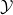  \mathcal{Y} 